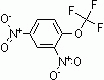 A1243