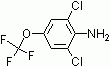 A1273