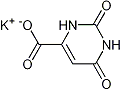 D1569