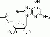 E1017