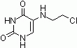 E1069