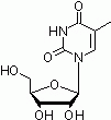 E1100