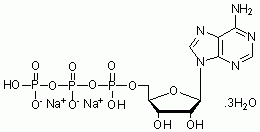E1141