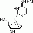 E1146