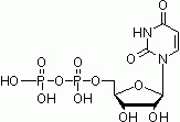 E1184