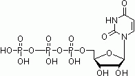 E1186