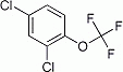 K1313
