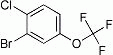 K2488