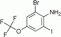 K2589