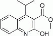 K2856