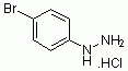K4446