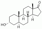 L1156