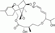 L1906