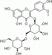 N1013